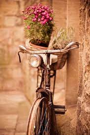 the pink and green owl レトロ自転車 花 壁紙 自転車