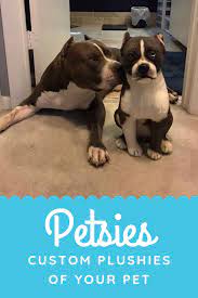 Turn Your Pet Into A Custom Plush Custom Stuffed Animal Your Pet Pets