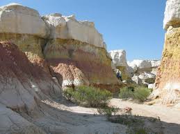 Here is a handful of trails that are easy for little legs to enjoy, too. 5 Easy Hikes For Kids Visit Colorado Springs