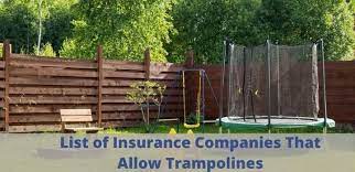 If you're a landlord renting out a house or unit, you shouldn't permit your renters to have a trampoline. 11 List Of Insurance Companies That Allow Trampolines Insurance Company Trampoline State Farm Insurance