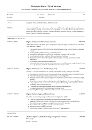 19 digital marketer resume examples