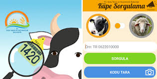 Kurban Kupe Sorgulama Islemi Nasil Yapilir Tarim Bakanligi Kupe Sorgulama Sayfasi
