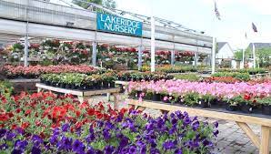 Serving northern virginia since 1991 lake ridge nursery was founded by susan and donny gray in 1991 and has been happily serving the gardening and landscaping needs of prince william, stafford and fairfax counties ever since. Lake Ridge Nursery Inc Home Facebook