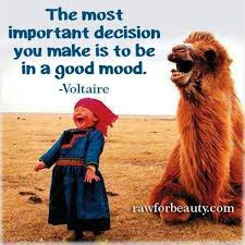 This Is So True And I Love This Image Wisdom Quotes Happiness Choice Justdoit Happy Quotes Good Mood Good Morning Quotes