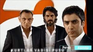 polat alemdar ustaa panosundaki pin