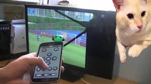 تطبيق التحكم بالتلفاز عن بعد SureMote للاندرويد