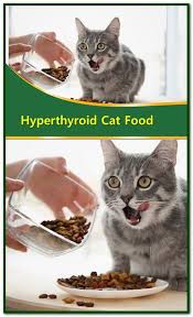 Hyperthyroid Cat Food Hyperthyroidism Is A Common Condition In Older Cats Because Of An Excess Of Circulating Healthy Cat Food Hyperthyroidism Food Cat Food