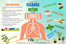 How To Cleanse And Detox Your Lungs Top 10 Home Remedies Healthy Detox Cleanse Detox Cleanse Detox