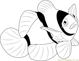 The moon and stars are no match for this spotted unicorn! Clownfish Coloring Page Coloring Home