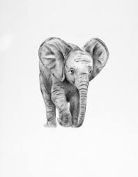Pencil Drawings Of Baby Animals Baby Elephant Drawing Pencil Drawings Of Animals Elephant Drawing