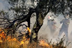 Maybe you would like to learn more about one of these? Visao Incendio Fogo Em Castro Marim Teve Reativacao Forte E Mobiliza Mais De 270 Operacionais