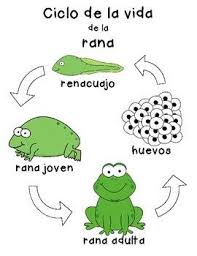 We hope this will help you to understand spanish better. Pin On Speak Spanish
