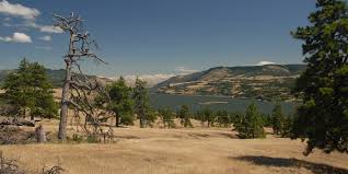 Many other trails within the catherine creek recreation area enable you to go further and hike to your heart's content. Catherine Creek Hiking Trail Outdoor Project