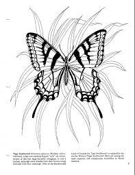 Pin By Gena Andreano On Dover Coloring Butterfly Coloring Page Coloring Pages Colorful Butterflies