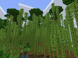 Bamboo also grows on hillsides which are very plentiful throughout minecraft maps. Top 5 Things Players Can Make With Bamboo In Minecraft