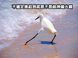 Check spelling or type a new query. çµ±ç¥žç«¯ç«é‹ æ˜¯ä»€éº¼æ„æ€ è¡—é ­å­—å…¸ æžæ‡‚æµè¡Œèªžæ˜¯ä»€éº¼æ„æ€