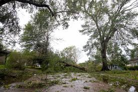 Hurricane Laura updates: Path, power outage news in Louisiana, Texas