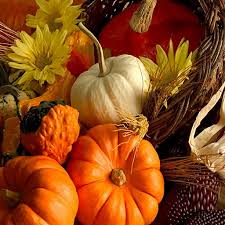 Check spelling or type a new query. Amazon Com Thanksgiving Wallpapers 2 Apps Games