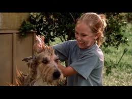 She almost lost winn dixie in a thunderstorm at a party. Because Of Winn Dixie 2005 Imdb