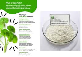 Gotu Kola Extract Natural Medicine Skin Ulcer Natural Ingredients