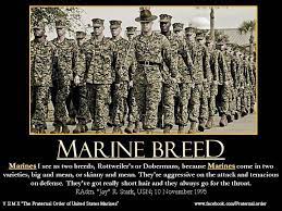 We compiled our top 10 usmc motivational quotes of. Pin By Jim Swords On All Things Marine Usmc Quotes Marine Corps Quotes Marine