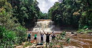 Kota kinabalu malaysia hotels & motels. Walk The Torq Review Once In A Lifetime Experience Review Of Amazing Borneo Tours Kota Kinabalu Malaysia Tripadvisor