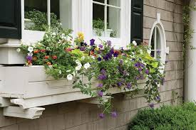 And it's bold enough that it doesn't get overshadowed by the size of the window. Cottage Style Window Box Ideas Cottage Journal Window Box Flower Pots Outdoor Garden Ideas Cheap