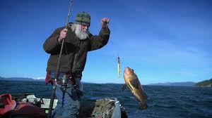 According to the united states census bureau, the cdp has a total area of 4.6 square miles (12 km 2), of which, 4.5 square miles (12 km 2) of it is land and 0.1 square miles (0.26 km 2) of it (2.61%) is water. Watch Port Protection Alaska Season 4 Episode 1 No Place Like Home Online