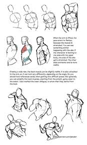 This comic art reference shows the muscles in the human arm color coordinated. Ricky Andrade Bitchimartzee Twitter