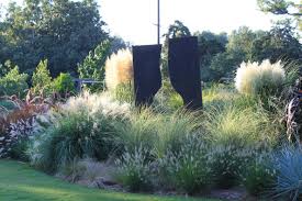 Why Is My Ornamental Grass Turning Brown - Honor Services
