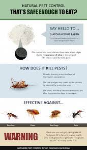 Food grade diatomaceous earth imparts a number of health benefits, and it is often added to natural personal. Diatomaceous Earth The 1 Natural Pest Control Solution Learn More About This Organic P Diatomaceous Earth Food Grade Natural Pest Control Diatomaceous Earth