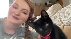 North Shields kitten trapped in wall rescued by firefighters