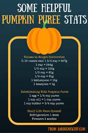 It's a shame that pumpkin is only popular for two months out of the year. What To Do With Leftover Pumpkin Puree Baking Mischief