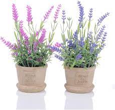 We did not find results for: 2 Pack Lavender Artificial Flower Pot False Potted Plants With Decorative Artificial Lavender Flowers For House Decorations Buy Decorative Plastic Plant Pots Flower Pot For Balcony Decorative Plant Pots Indoor Product On