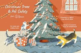 Image Result For Cat With Christmas Lights In Mouth Christmas Tree Pet Safety Christmas Lights