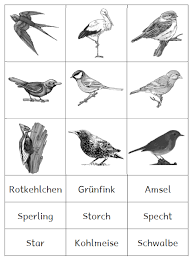 Diese sind thematisch und nach dem sprachniveau geordnet. Grundschulblogs De Vogel Im Winter Schulerhefte Grundschule