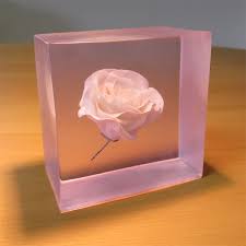 To cover the flowers you eighter dunk them into the glue resin doesnt work well with moisture so drying your flower first is key to successful preservation. Clear Casting