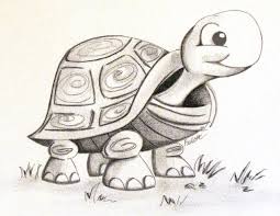 Black And White Graphite And Charcoal Drawing Of A Turtle Cute Turtle Drawings Turtle Drawing Baby Animal Drawings