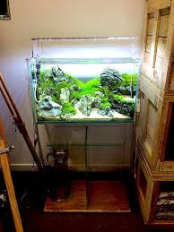 Pin On Aquariums