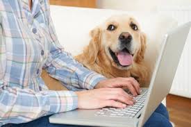 Find all the online puppy training help and support you need. You Need Dog Training Help But From Where