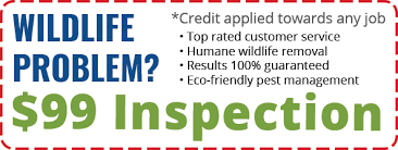 Pest Control Wildlife Removal In Nj Balance Of Nature
