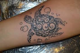 Westend Tattoo Wien Tattoo Wien Tattoo Maori Tattoo Polynesian Tattoo Turtle Tattoo Polynesisches Tattoo Polynesische Tattoos Frauen Tattoos Manner
