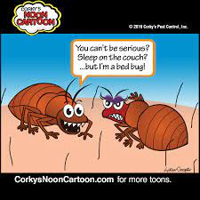 Bed Bug Cartoons | Corky's Pest Control Services | San Diego Pest Control