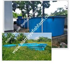 Bak Fiber Kolam Bulat Phytoncatfishfarm