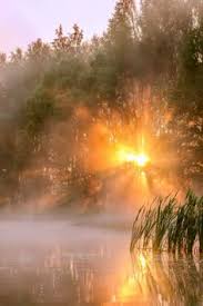 Shirley Core Aesthetic