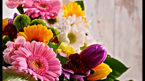 As we journey through the seasons, different flora choose their favorite time of year to make their appearance, always unique to their location and environment. 6 Ways To Save On Valentine S Day Flowers Kagstv Com