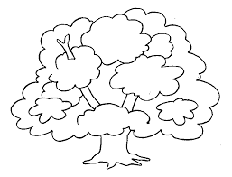 Arbol Para Pintar