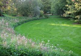 See more ideas about garden, garden inspiration, garden design. Image Result For Wildflower Garden Border Wildflower Garden Garden Ideas Uk Garden Features
