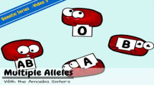 Dna, chromosomes, genes, and traits: Multiple Alleles Abo Blood Types Answer Key By The Amoeba Sisters
