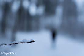 Just a short answer tonight, as i have an appointment. 6 Methods To Cure Cabin Fever Expeditom